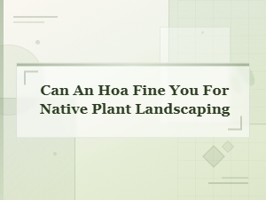 Can Your Hoa Fine You for Native Plant Landscaping?