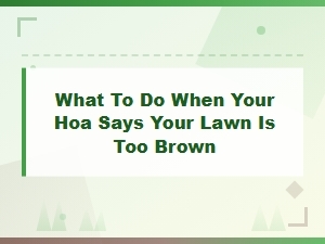 Dealing with Hoa Complaints About a Brown Lawn